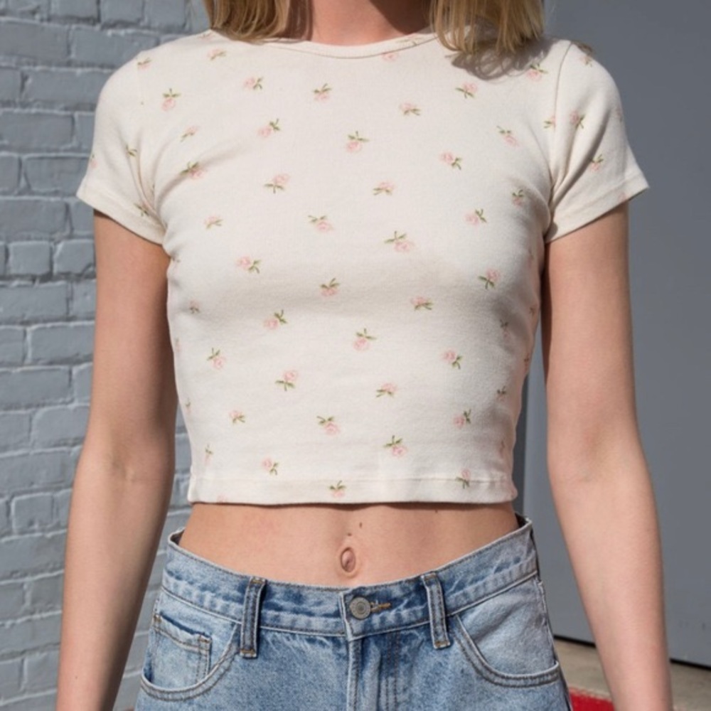 Brandy Melville Floral Crop Top